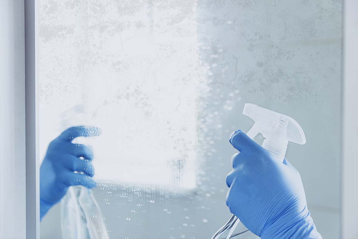 Six Tips To Clear Mold From Glass And Mirrors