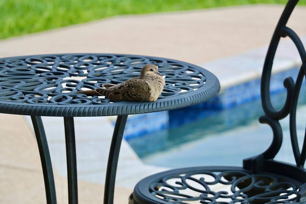 Outdoor Space