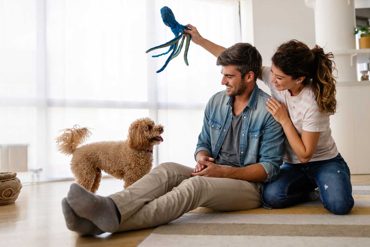 New Dog Owner Guide